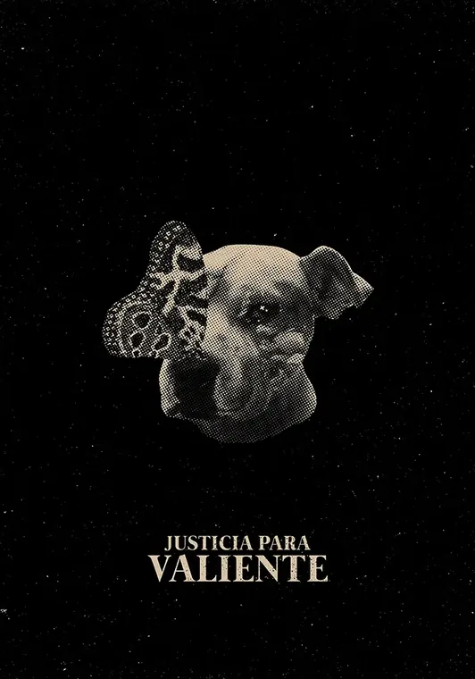 Acción Animal — 1