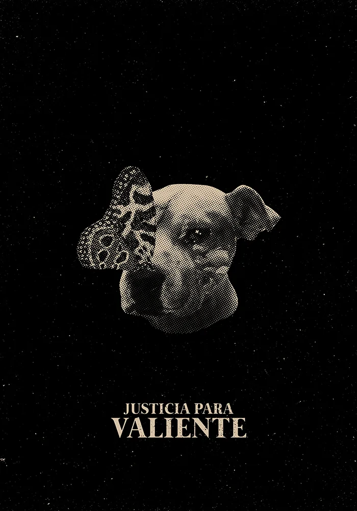 Acción Animal — 1