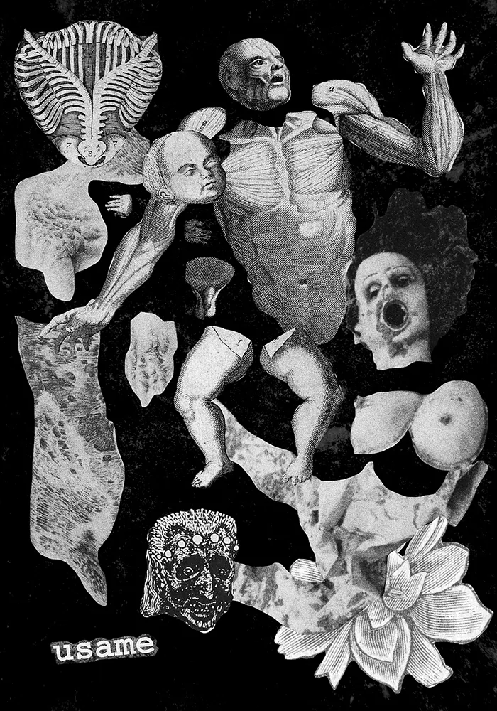 Cuerpos Violentos — 2