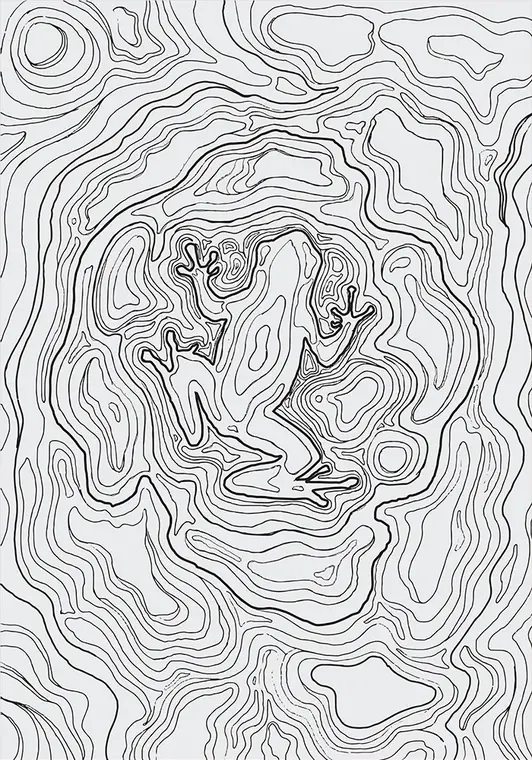 Rana de Intag — 1