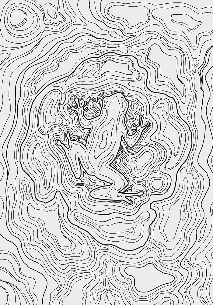 Rana de Intag — 1