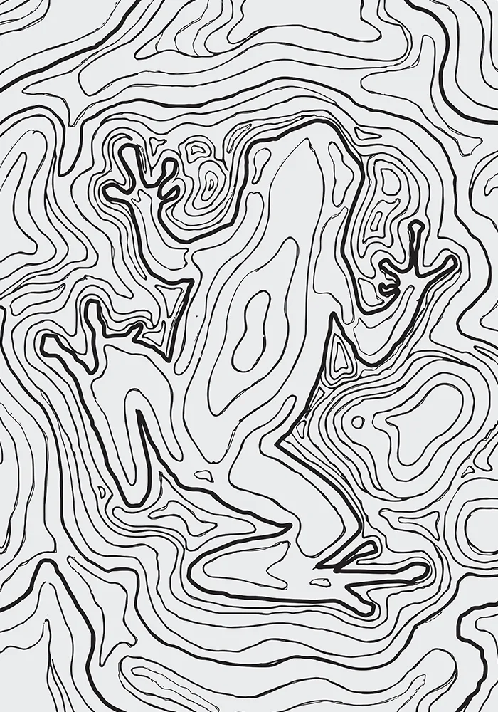 Rana de Intag — 2