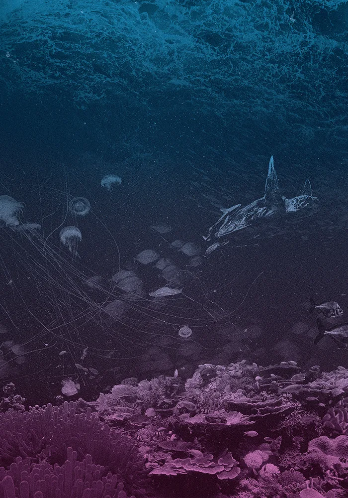 Ocean — 3