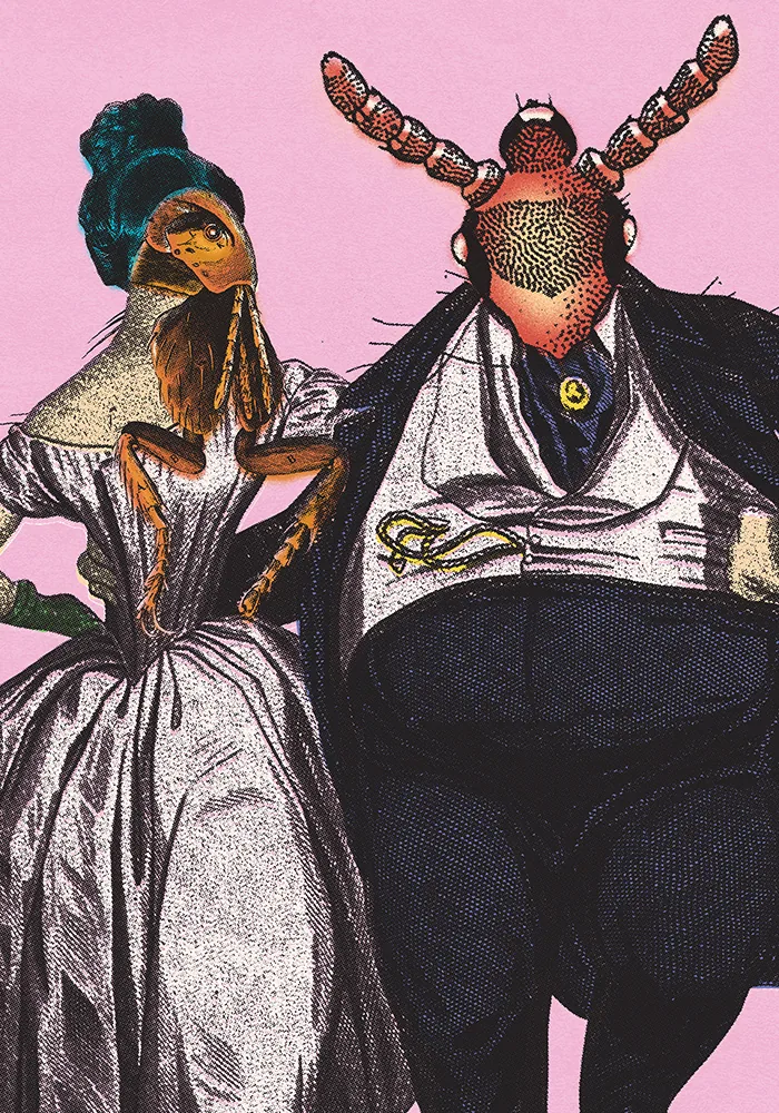 Pulga y Piojo — 2
