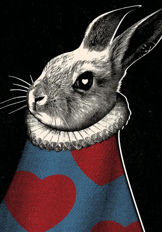 Conejo Blanco — 1