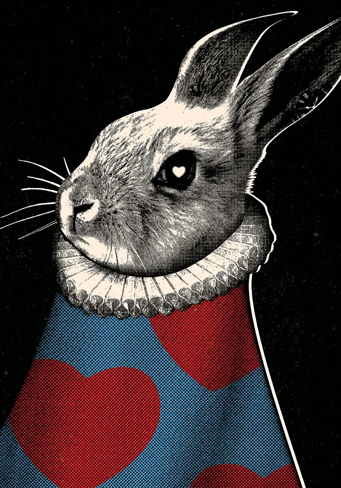 Conejo Blanco — 1