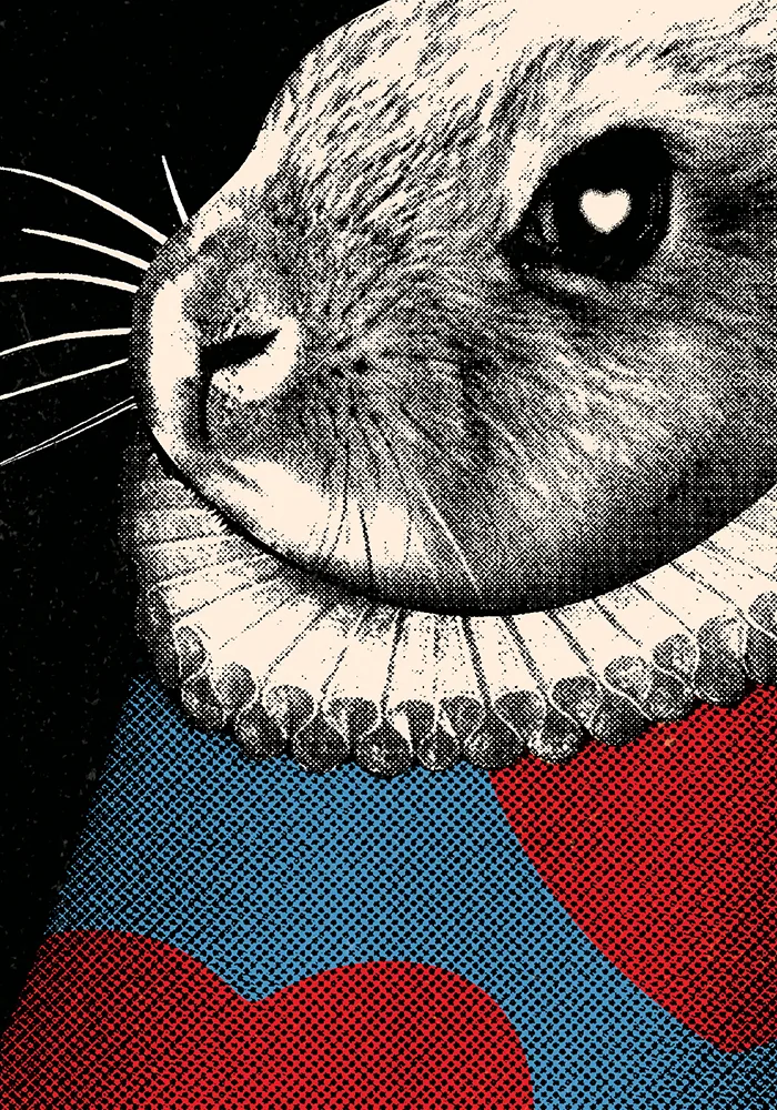 Conejo Blanco — 2
