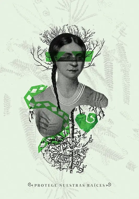 Protege Nuestras Raíces — 1