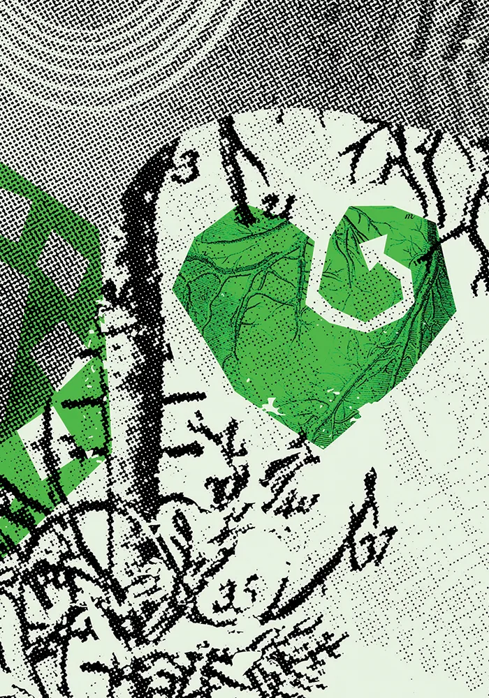 Protege Nuestras Raíces — 3